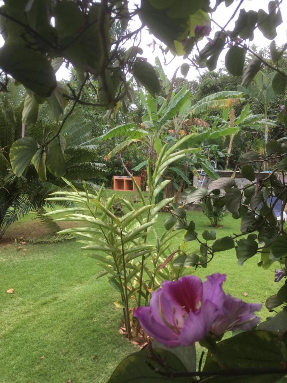 Labellaventura Villa Las Galeras Eksteriør billede