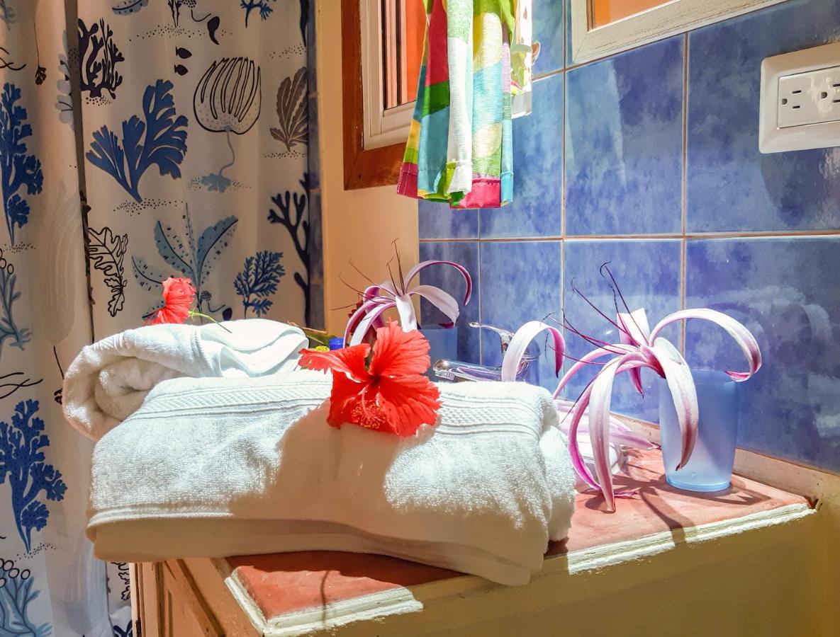 Labellaventura Villa Las Galeras Eksteriør billede